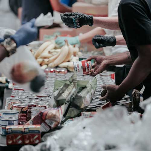 Environmental Awareness Campaign